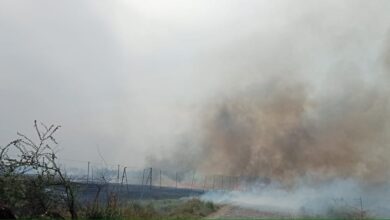 Photo of फसल कटने के बाद कृषि फार्म के खेतों में लगी आग