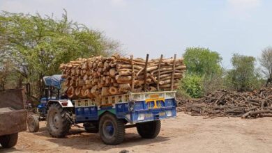 Photo of हरे वृक्षों की कटान के खिलाफ लखनऊ में धरना देंगे पूर्व सांसद