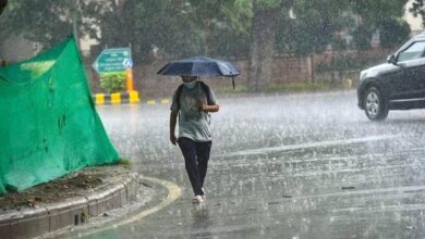 Photo of गरज के साथ झमाझम बारिश का अलर्ट
