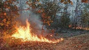 Photo of यूपी के जंगलों में लगी भीषण आग