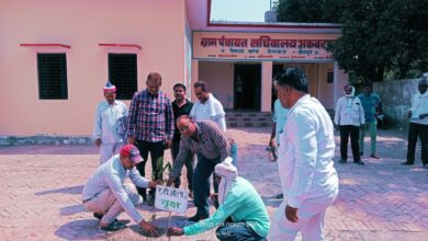Photo of अकबरपुर गांव में वृक्षारोपण कर पर्यावरण सुरक्षित रखने का दिया गया संदेश
