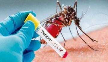 Photo of अब डेंगू, मलेरिया की रिपोर्ट सार्वजनिक नहीं कर सकेंगे निजी लैब संचालक