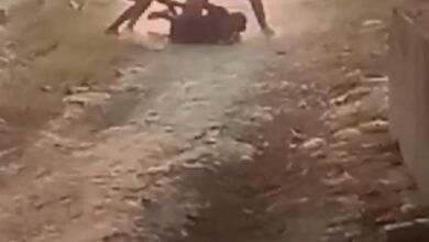 Photo of महिला को घसीट कर ईट पत्थर से पीटने का विडियो वायरल