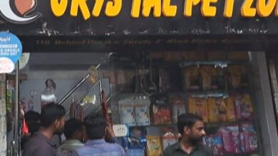 Photo of लखनऊ नगर निगम की टीम ने पेट शॉप पर मारा छापा