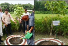 Photo of उपराष्ट्रपति ने प्रधानमंत्री के ‘एक पेड़ मां के नाम’ अभियान को आगे बढ़ाया, यमुना नदी के किनारे पौधरोपण किया