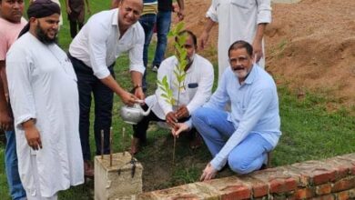 Photo of पीडीए के तहत् वृक्षारोपण कर अभियान का किया शुभारंभ