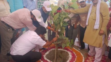 Photo of बृहद वृक्षारोपण कार्यक्रम में विधायक ने किया हरिशंकरी पौधरोपण।