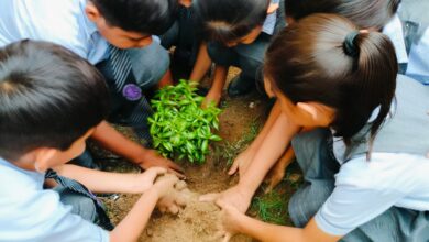 Photo of क्रीसेंट स्कूल में पौधरोपण कार्यक्रम संपन्न 