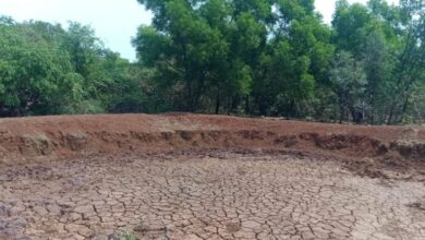 Photo of सिर्फ कागजों तक सीमित रहा पौधरोपण का अभियान, हकीकत में जमीन बंजर