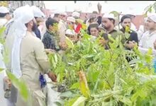 Photo of GNRF फाउंडेशन ने शुरू किया पौधों का वितरण