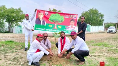 Photo of पी डी ए पेंड़ लगाओ कार्यक्रम के तहत समाजवादी पार्टी के प्रदेश सचिव ने किया पौधरोपण