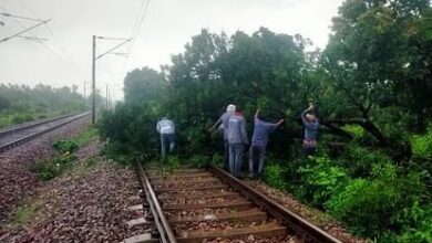 Photo of ट्रैक पर गिरा पेड़, शटल एक्सप्रेस का संचालन प्रभावित