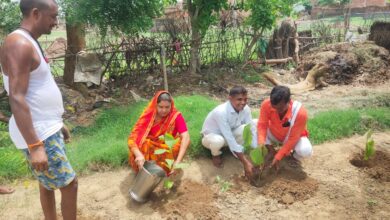 Photo of वृक्षारोपण अभियान को सफल बनाने में जुटी शांति रावत