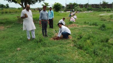 Photo of मिथिलेश नंदिनी रेशमा आरिफ महाविद्यालय में किया गया पौध रोपण