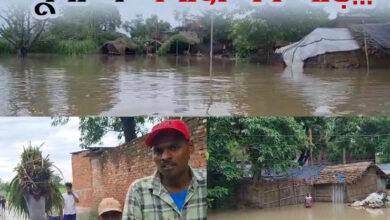 Photo of भारी बारिश और नेपाल से छोड़े गए पानी के बाद यूपी के कई शहरों में अब बाढ़ का असर विकराल