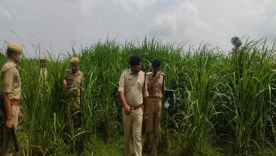 Photo of आज़मगढ़ : खेत में मिला युवती का शव, हत्या की आशंका