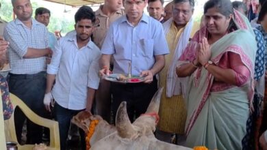 Photo of श्रीकृष्ण जन्माष्टमी पर गौशालाओं में पूजी गई गौमाता