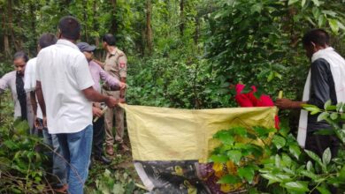 Photo of नाबालिग बालिका से रेप,, नाबालिग ने दिया मृत बच्ची को जन्म