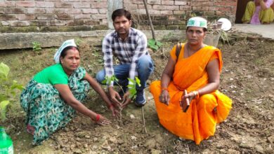 Photo of जे के ए मातृशक्ति ब्लॉक उपाध्यक्ष देवा ने महमूदाबाद में किया पौधरोपण