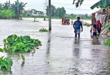 Photo of नेपाल में हो रही भारी बारिश की वजह से भारत के सीमावर्ती राज्य बिहार में तबाही