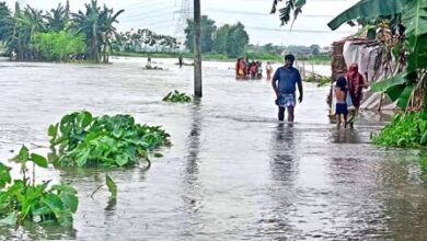 Photo of नेपाल में हो रही भारी बारिश की वजह से भारत के सीमावर्ती राज्य बिहार में तबाही