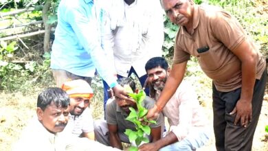 Photo of पुत्रों की भांति करे पौधों की देखभाल: संतोष षुक्लापौधरोपण कार्यक्रम में बोले ग्रामीण पत्रकार एसोसिएषन भारत के जिलाध्यक्ष