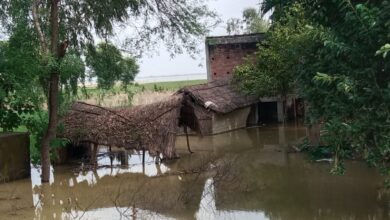 Photo of सरयू नदी के उग्र रूप धारण करने से बाढ़ प्रभावित गांवों में दहशत