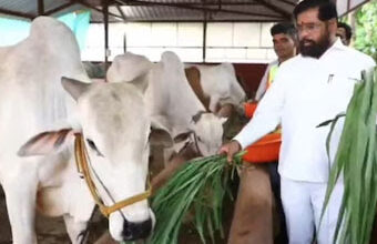 Photo of महाराष्ट्र सरकार का बड़ा फैसला, देशी गाय को दिया ‘राज्यमाता-गोमाता’ का दर्जा