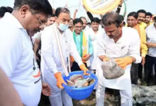 Photo of स्वच्छ भारत, स्वच्छ प्रयागराज बनाकर गांधी के सपनों को साकार करें : केशव प्रसाद मौर्य