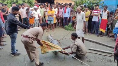 Photo of देर रात घर के अंदर पहुंचा विशालकाय मगरमच्छ, मच गया हड़कंप