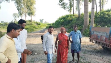 Photo of मुख्य मार्ग पालतू मवेशी पर हमला कर तेंदुए ने उतारा मौत के घाट