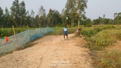 Photo of कागजों में फर्जी हाजिरी लगाकर मनरेगा में जमकर हो रहा भ्रष्टाचार