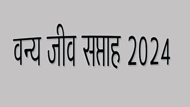 Photo of भोपालः वन विहार में आज से वन्य-जीव सप्ताह-2024 का आयाेजन, राज्य मंत्री अहिरवार करेंगे शुभारंभ