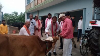 Photo of गाय पूजनीय हैं हम सभी को सेवा करने चाहिए- सांसद जितेंद्र दोहरे